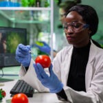 African american biologist researcher with medical gloves injecting organic tomato