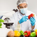 Food scientist examining a pepper at the university