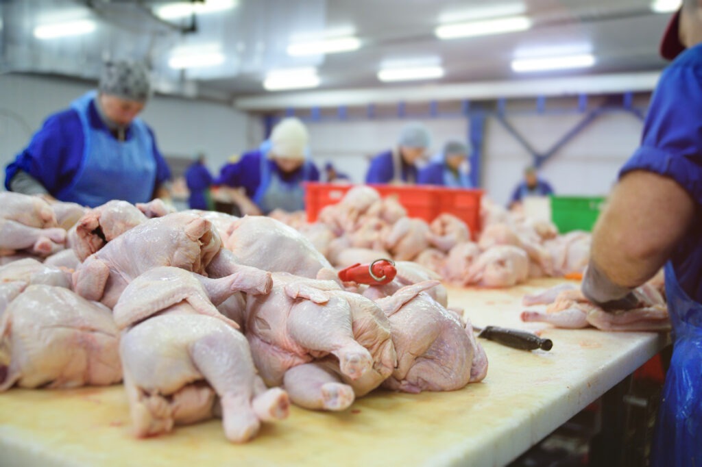 poultry processing in food industry