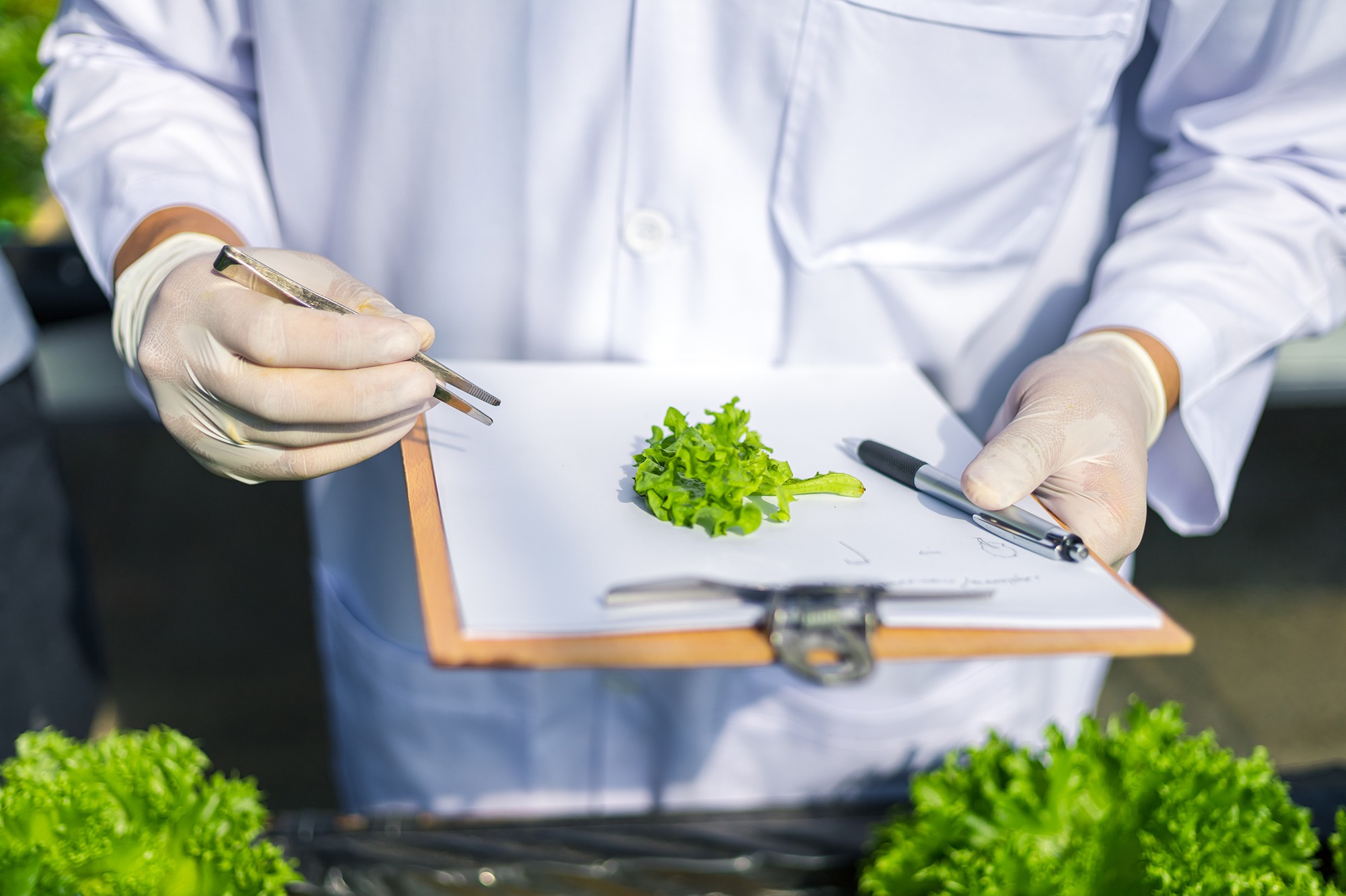 Health and Safety Legal Liability for Managers | VGL Dimensions